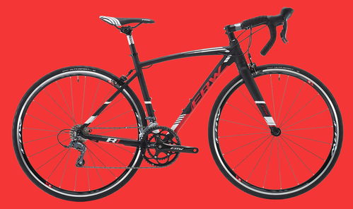 中國(guó)十大老牌自行車土撥鼠frw全世界碳纖維自行車品牌排行榜