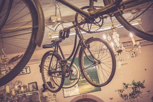 電動(dòng)自行車 點(diǎn)綴街頭的靚麗風(fēng)景線